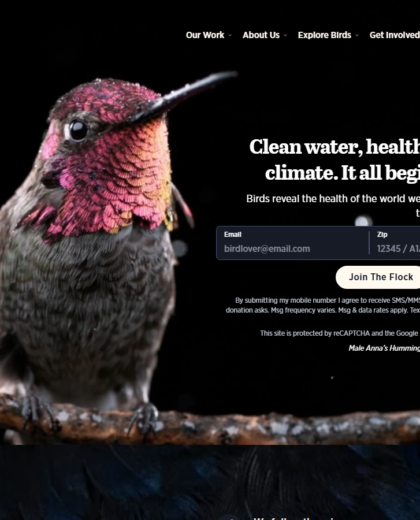 Audubon Website Project screenshot