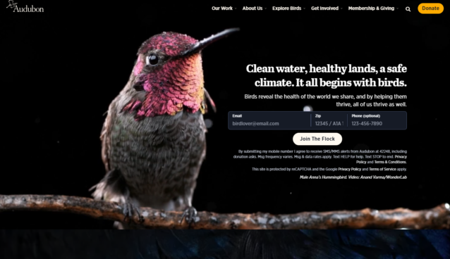 Audubon Website Project screenshot