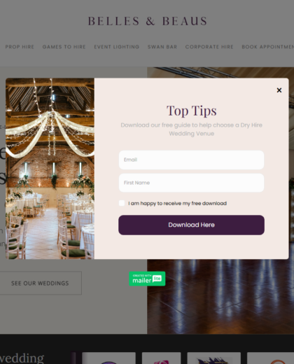 Bellesandbeausweddingstyling Website Project screenshot