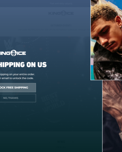Kingice Website Project screenshot