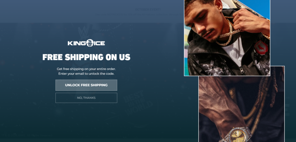 Kingice Website Project screenshot