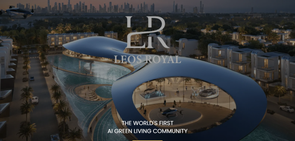 Leosdevelopments Website Project screenshot