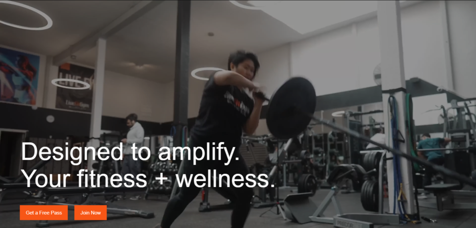 Livefitgym Website Project screenshot