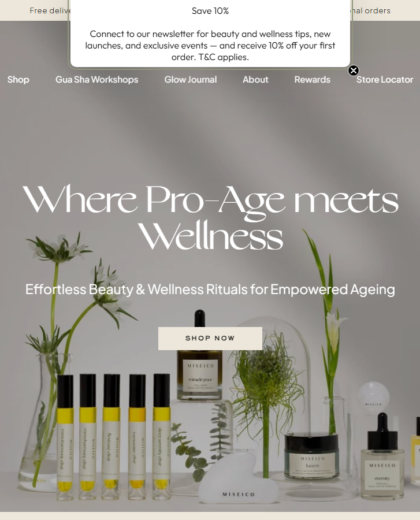 Miseico Website Project screenshot