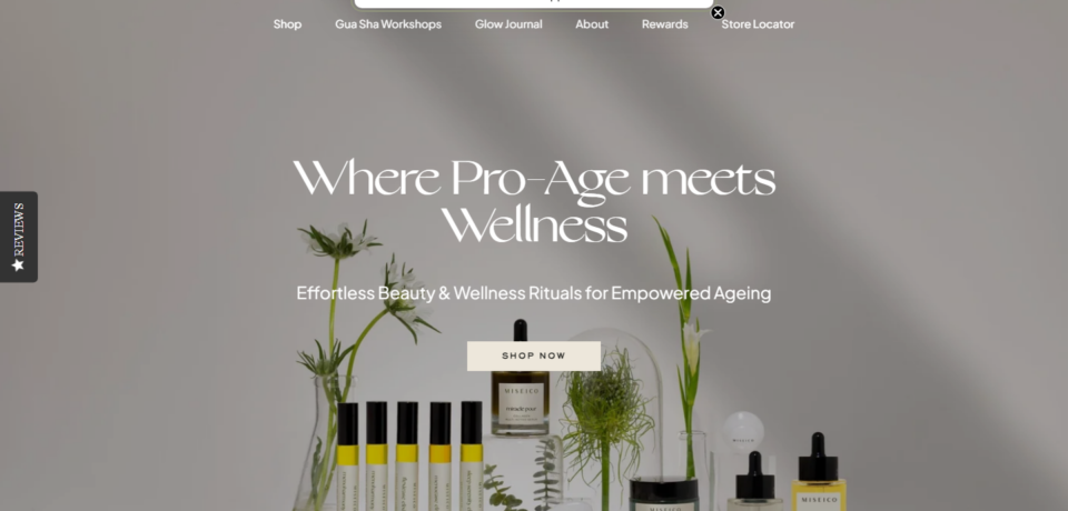 Miseico Website Project screenshot