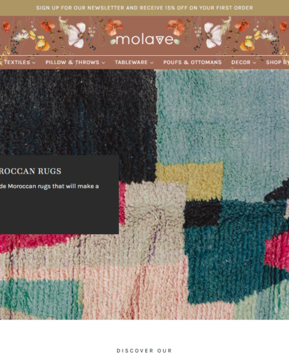 Molave Website Project screenshot