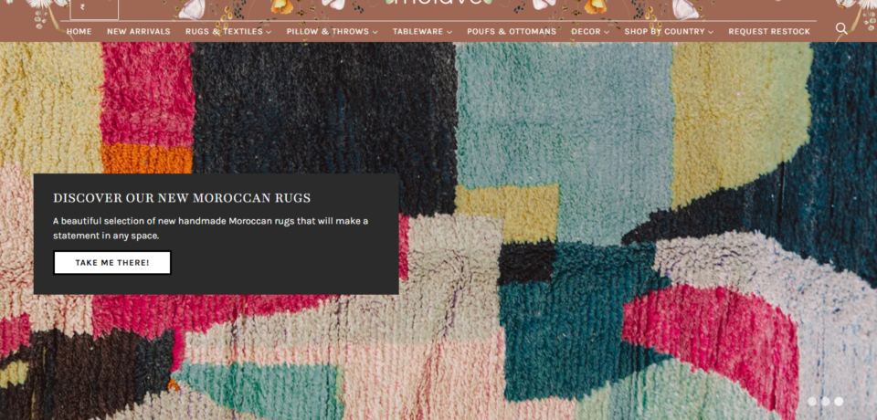 Molave Website Project screenshot