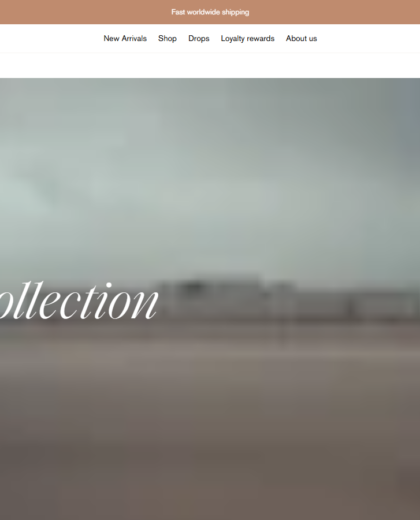 Rino Pelle Website screenshot