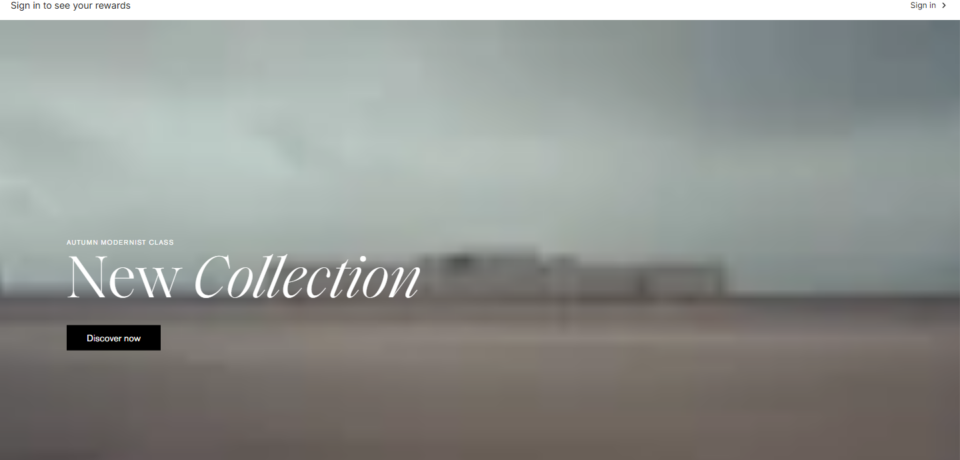 Rino Pelle Website screenshot